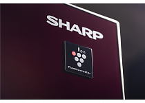 картинка, Холодильник Sharp SJGX98PRD